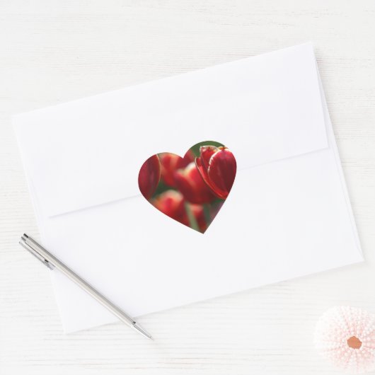 Rode tulp stickers (Envelop)