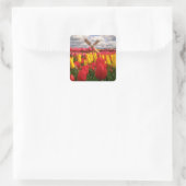 Rode Tulp veld, Oregon bloemen Vierkante Sticker (Tas)