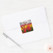 Rode Tulp veld, Oregon bloemen Vierkante Sticker (Envelop)