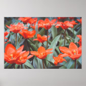 Rode tulp veldposter poster (Voorkant)