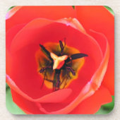 Rode Tulp-ventilatormacrofoto set van 6 Onderzetter (Voorkant)