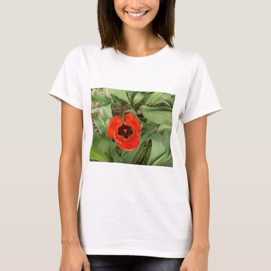 Rode Tulp Vrouwen T-Shirt (Voorkant)