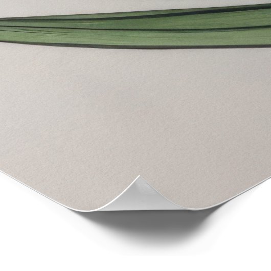 Rode Tulp Waterverf Bloemen Poster (Hoek)