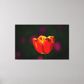 Rode tulpbloem canvas afdruk (Voorkant)