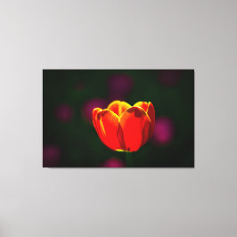 Rode tulpbloem canvas afdruk
