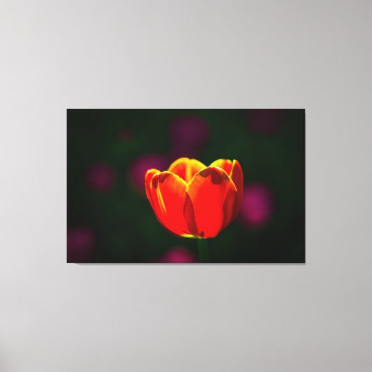Rode tulpbloem canvas afdruk (Voorkant)