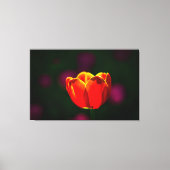 Rode tulpbloem canvas afdruk (Voorkant)