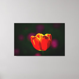 Rode tulpbloem canvas afdruk