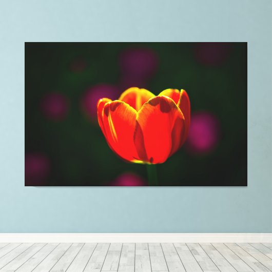 Rode tulpbloem canvas afdruk (Insitu (Houten vloer))