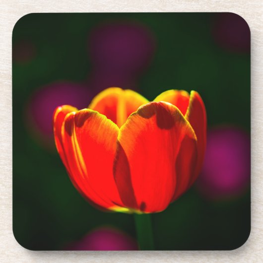Rode tulpbloem onderzetter (Voorkant)