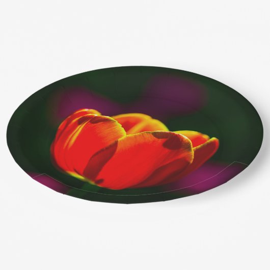 Rode tulpbloem papieren bordje (Gekanteld)