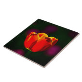 Rode tulpbloem tegeltje (Zijkant)