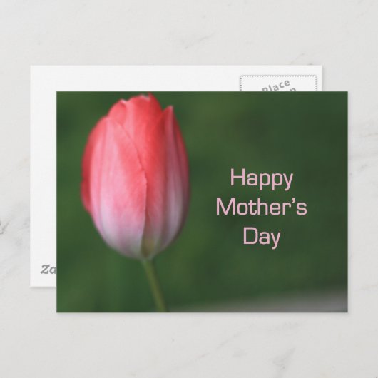 rode tulpbloem, vrolijke moederdag briefkaart (Voorkant / Achterkant)