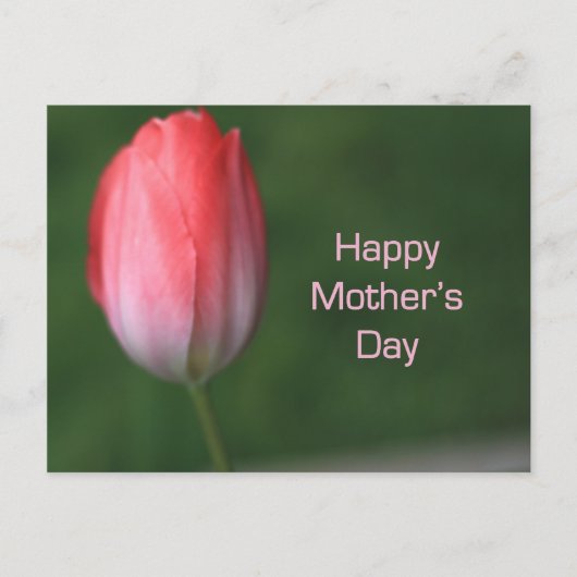 rode tulpbloem, vrolijke moederdag briefkaart (Voorkant)