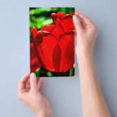 Rode tulpbloemen flyer (Hand)