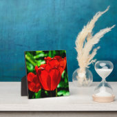 Rode tulpbloemen fotoplaat (Insitu)