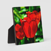 Rode tulpbloemen fotoplaat (Voorkant)