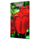 Rode tulpbloemen klembord (Links)
