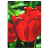 Rode tulpbloemen klembord (Achterkant)