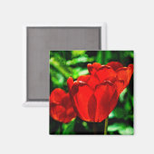 Rode tulpbloemen magneet (Voorkant / Achterkant)