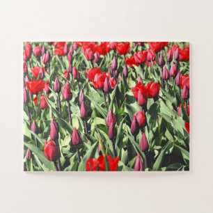 Rode tulpen 30 pc legpuzzel