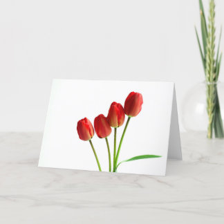 Rode tulpen blanco groetkaart kaart