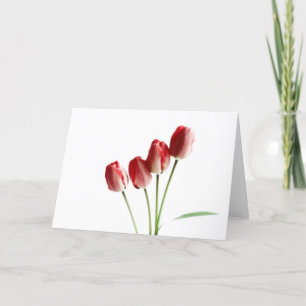Rode tulpen blanco groetkaart kaart