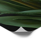 Rode Tulpen Bloemenkunst Print Poster (Hoek)
