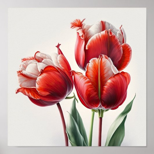 Rode Tulpen Bloemenkunst Print Poster (Voorkant)
