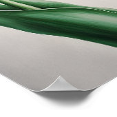 Rode Tulpen Bloemenkunst Print Poster (Hoek)