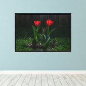 Rode Tulpen Canvas Print op Spanramen (Insitu (Houten vloer))