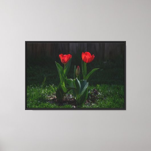 Rode Tulpen Canvas Print op Spanramen (Voorkant)