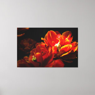 Rode tulpen donkere achtergrond canvas afdruk