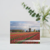 Rode tulpen en een windmolen briefkaart (Staand voorkant)