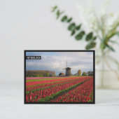 Rode tulpen en een windmolen briefkaart (Staand voorkant)
