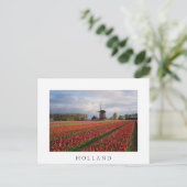 Rode tulpen en een windmolen briefkaart (Staand voorkant)