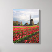 Rode tulpen en een windmolen canvas afdruk (Voorkant)