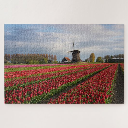 Rode tulpen en een windmolen in de lente legpuzzel (Horizontaal)