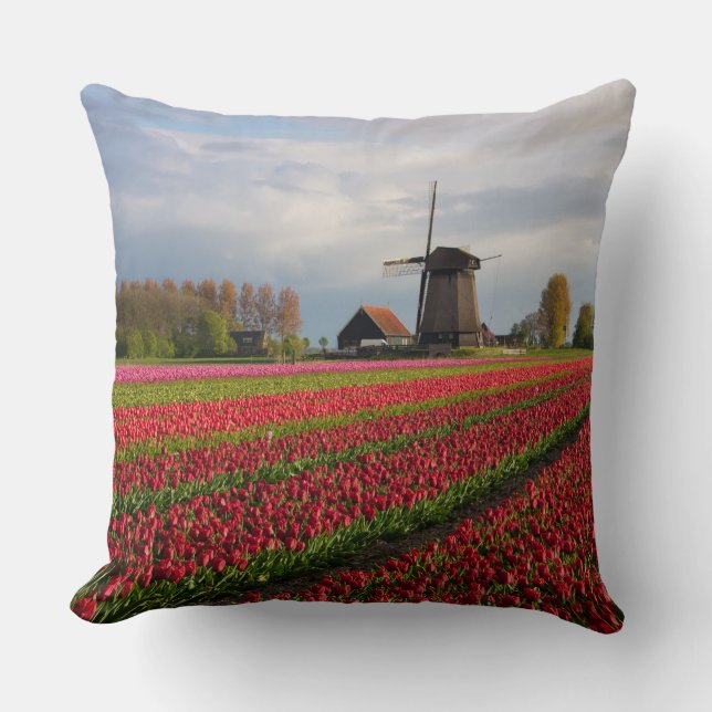 Rode tulpen en een windmolen kussen (Voorkant)