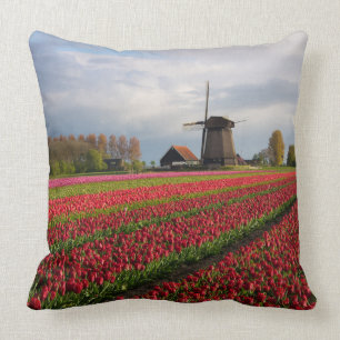 Rode tulpen en een windmolen kussen