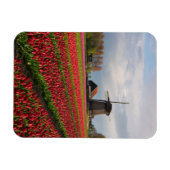 Rode tulpen en een windmolen magneet (Horizontaal)