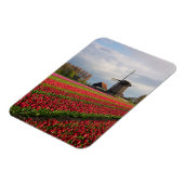 Rode tulpen en een windmolen magneet (Linkerzijde)