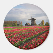 Rode tulpen en een windmolen magneet (Voorkant)