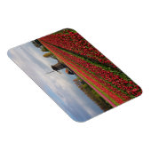 Rode tulpen en een windmolen magneet (Rechterzijde)