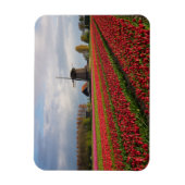 Rode tulpen en een windmolen magneet (Verticaal)