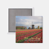 Rode tulpen en een windmolen magneet (Voorkant / Achterkant)
