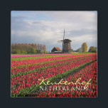 Rode tulpen en een windmolen magneet<br><div class="desc">Souvenir fotomagneet van een lentelandschap met een veld met rode tulpen en andere bloemen en een windmolen tijdens zonsopgang in de Keukenhof tuinen,  Bollenstreek,  Nederland met de tekst 'Keukenhof,  Nederland'.</div>