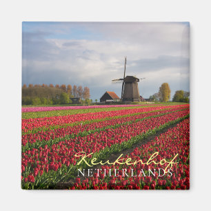 Rode tulpen en een windmolen magneet