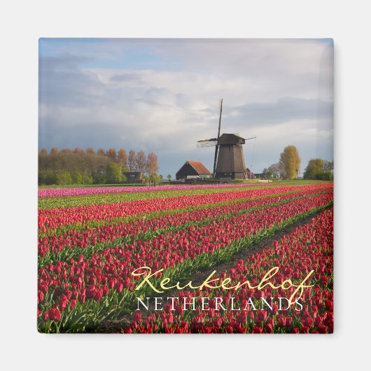 Rode tulpen en een windmolen magneet (Voorkant)