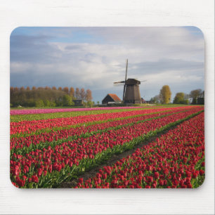 Rode tulpen en een windmolen muismat